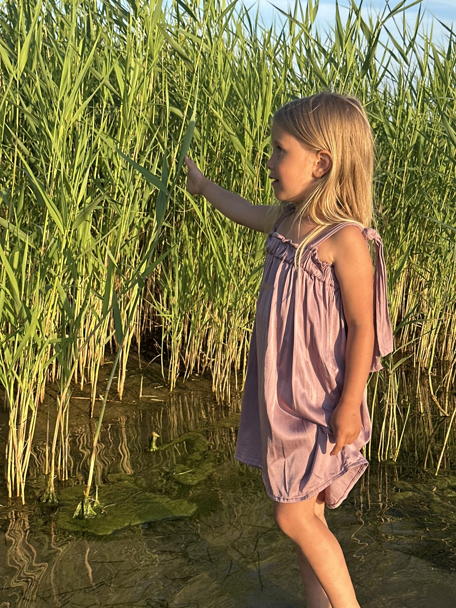 Laste lilla avapilt 1 Aura girls dress Dusty lilac - Image 1